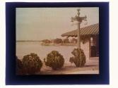 [Park and water]