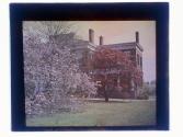 [Building and blooming trees]