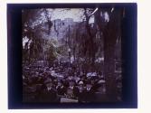 [Park band concert, St. Petersburg, Florida]