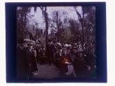 [Park band concert, St. Petersburg, Florida]