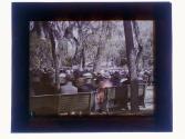 [Park band concert, St. Petersburg, Florida]