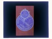 [St. Petersburg commemorative badge]