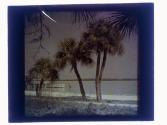 Passe Grille Resort Near St. Petersburg