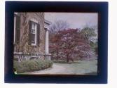 [View of house and trees]