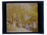 [Two women standing under palm trees in front of house]