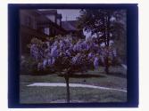 John Dunlar Home