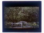 [Garden view]