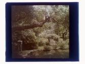 [Garden view]
