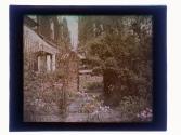 [House and garden]