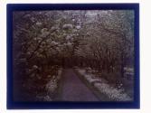 [Garden view]
