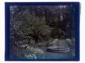 [Garden view]
