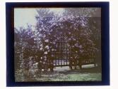 [Garden view]