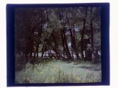 [Landscape]