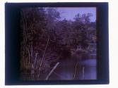 Crossmans Pond