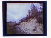 [Landscape]
