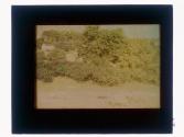 [Landscape]
