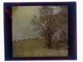 [Landscape]