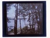 Silver Lake