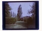 [House and garden]