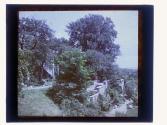[Garden view]