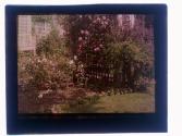 [Garden view]