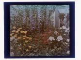 [Garden view]