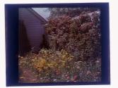 [Garden view]