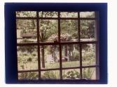 Rose Arbor thru Picture Window