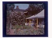[House and garden]