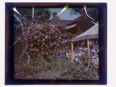 [House and garden]