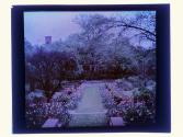 [Garden view]