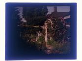 Rose Arbor