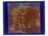[Garden view]