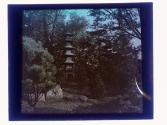 [Sonnenberg Gardens]