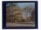 [Sonnenberg Gardens]