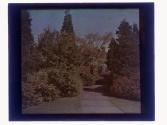 [Sonnenberg Gardens]