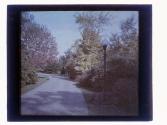 [Sonnenberg Gardens]