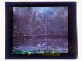 [Sonnenberg Gardens]