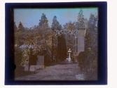 [Sonnenberg Gardens]