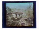 [Sonnenberg Gardens]
