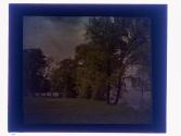 Canandaigus YMCA Camp