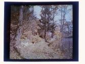 [Durand - Eastman (?) Park]