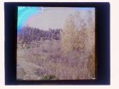 [Durand - Eastman (?) Park]