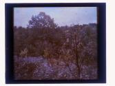 [Durand - Eastman (?) Park]