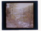 [Durand - Eastman (?) Park]