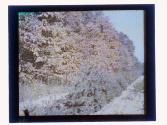 [Durand - Eastman (?) Park]