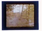 Durand - Eastman Park