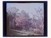 [Durand - Eastman (?) Park]