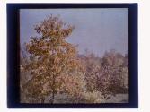 [Durand - Eastman (?) Park]