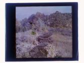 [Durand - Eastman (?) Park]